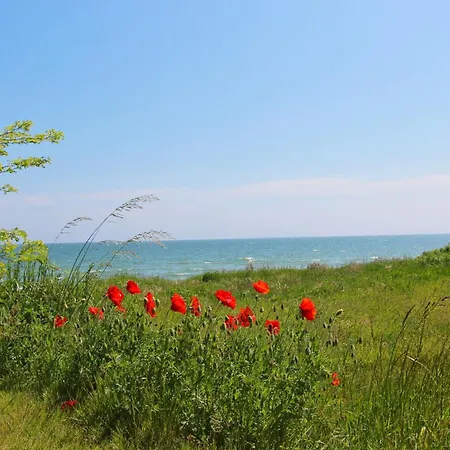 Rex Rugia Fewo15-7 Mit Schwimmbad Und Saunanutzung Im Ahoi-erlebnisbad Sellin * Lobbe